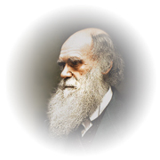 Charles Robert Darwin (1809 - 1882)